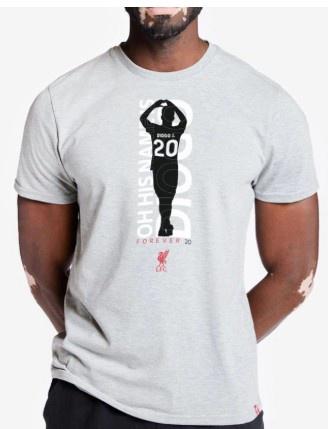 草根足球项, img, 级别球队中