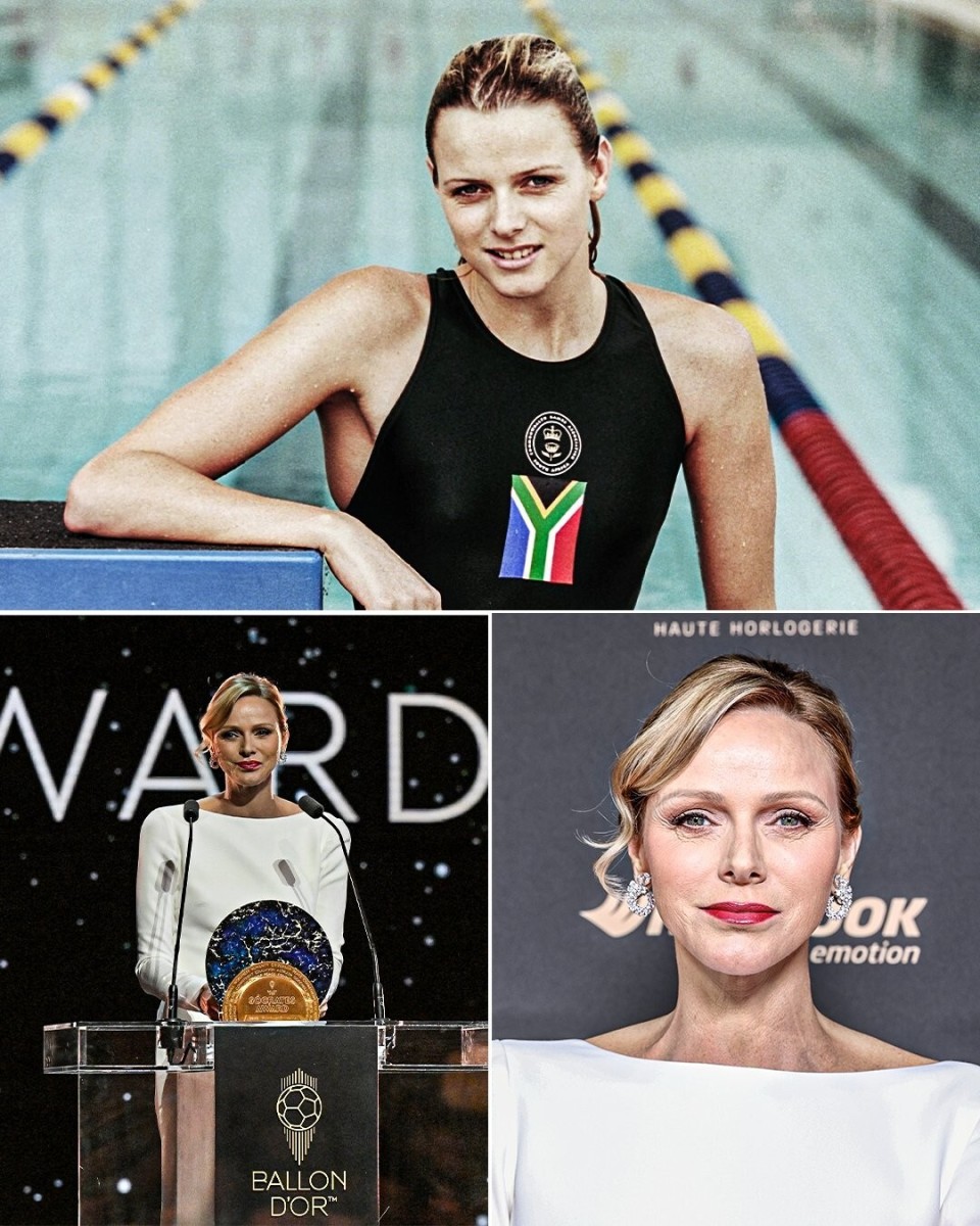 AA, OKoqG, 最喜爱的品 AA, OKoqG, 最喜爱的品